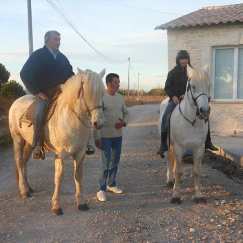 017-photo-manade-vente-chevaux-eleveur-camargue-gardians-taureaux-gard-30