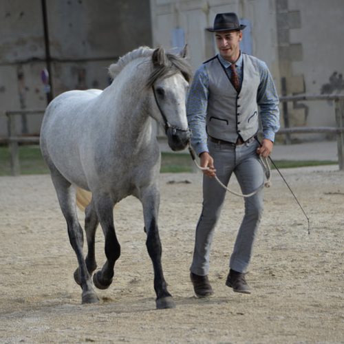 02-image-actu-visite-camargue-manade-vente-chevaux-eleveur-camargue-gardians-taureaux-gard-30