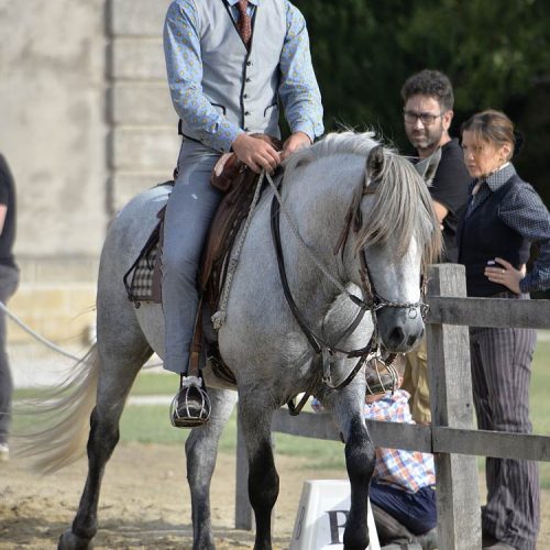 020-photo-manade-vente-chevaux-eleveur-camargue-gardians-taureaux-gard-30