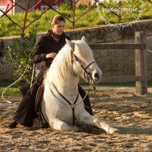 024-photo-manade-vente-chevaux-eleveur-camargue-gardians-taureaux-gard-30