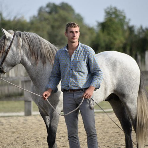 04-image-actu-visite-camargue-manade-vente-chevaux-eleveur-camargue-gardians-taureaux-gard-30