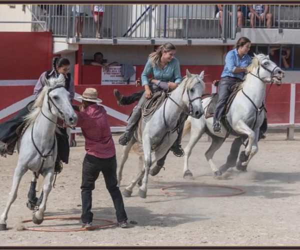 01-spectable-camarguais-manade-vente-chevaux-eleveur-camargue-gardians-taureaux-gard-30