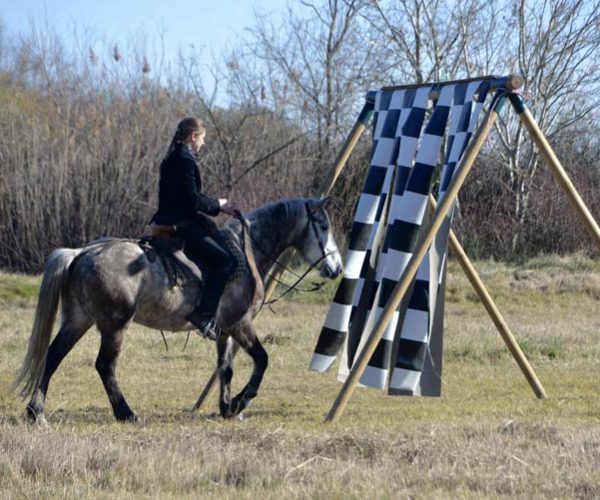 débourrage de la Manade Marié dans le 30