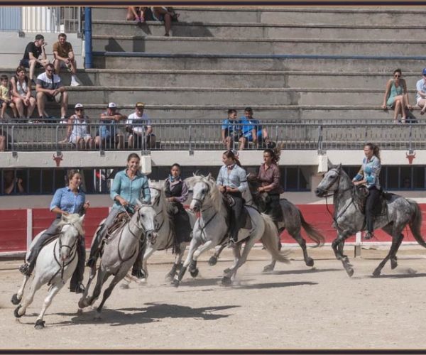 Spectacle camarguais manade Marié occitanie