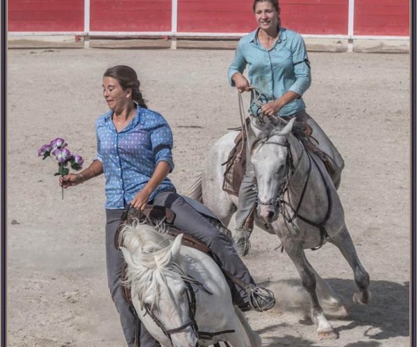 Spectacle camarguais manade Marié occitanie